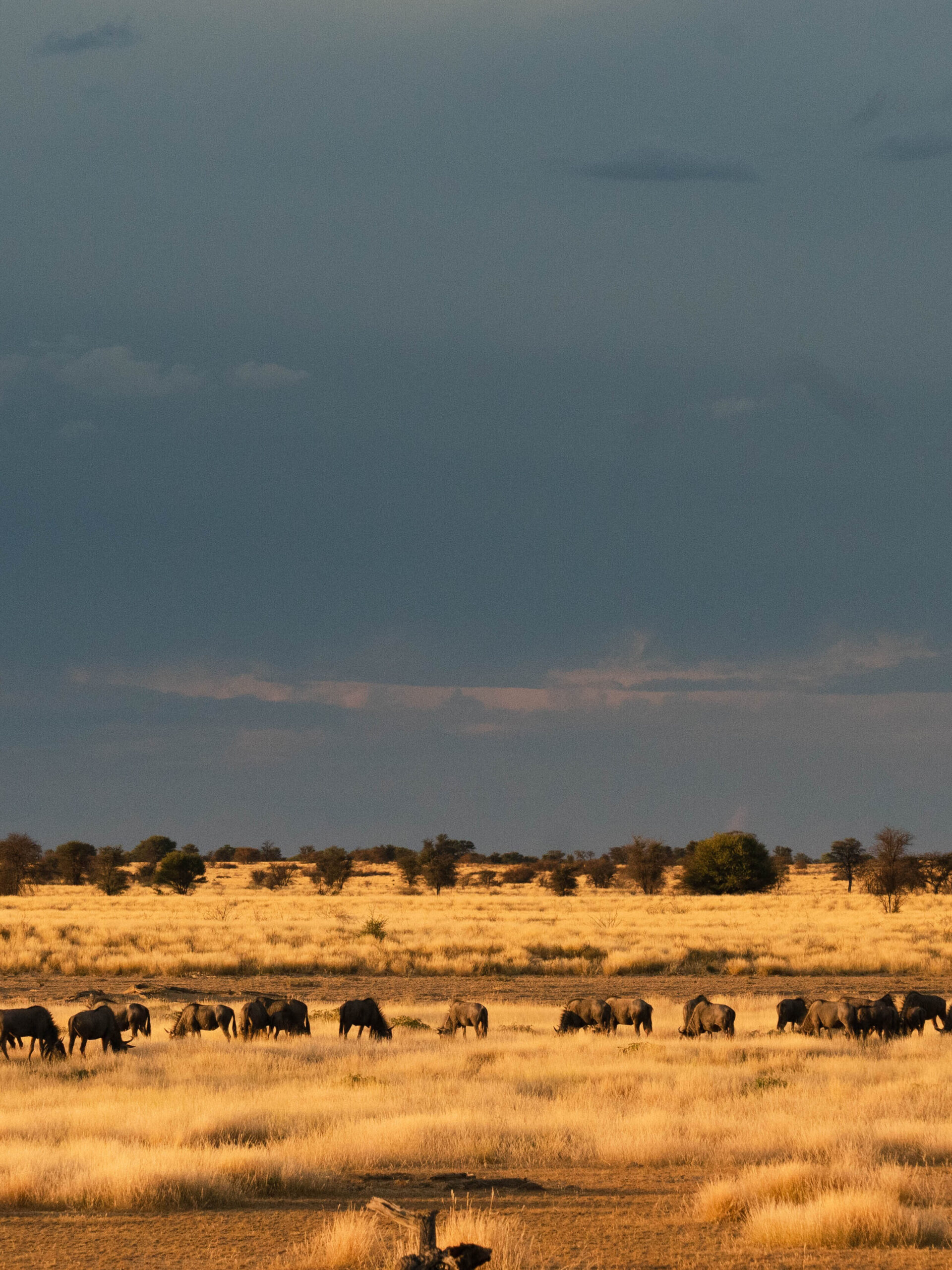 Landscape Photography on Kruger Safari